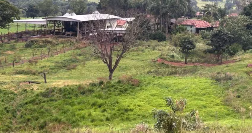 Fazenda com 28 alqueires de dupla aptidão no prata-mg