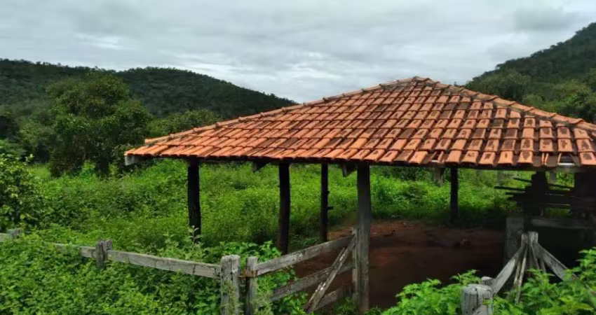 Fazenda de dupla aptidão com 71 alqueires em minaçu-go