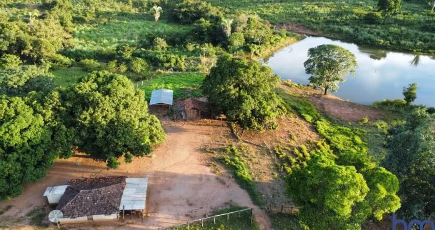 Fazenda de dupla aptidão com 36 alqueires em palmeirópolis-to
