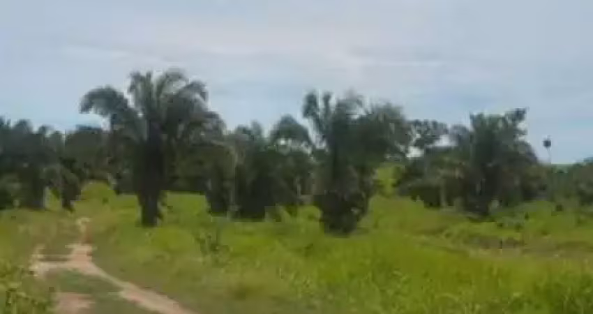 Fazenda com 355 alqueires de dupla aptidão no vale do araguaia em goiás