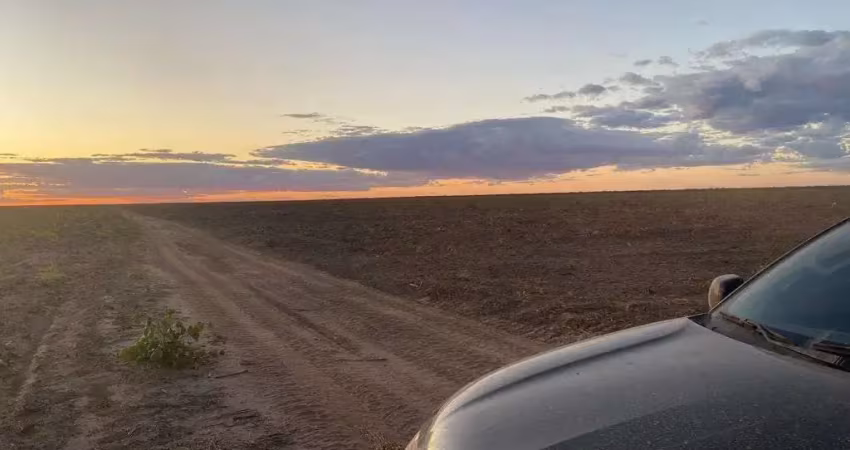 FAZENDA COM 2.900 ALQUEIRES PARA AGRICULTURA EM ALVORADA DO GURGUÉIA-PI