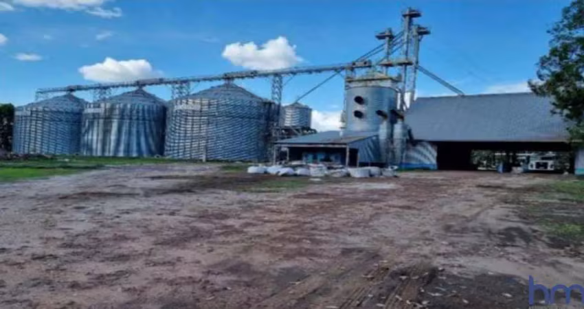 Fazenda dupla aptidão com 12.000 hectares em buriti - ma