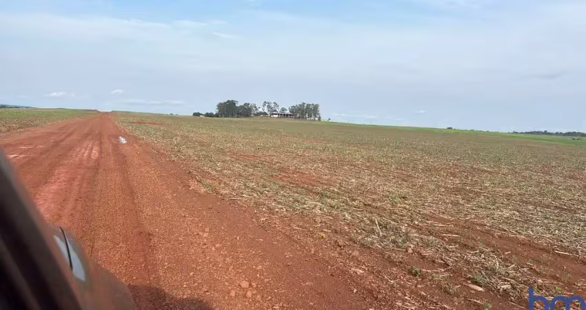 Fazenda com 785 alqueires para agricultura na região de sinop-mt