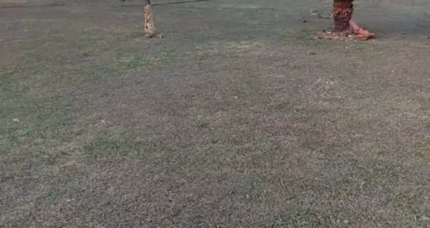 Fazenda de multiplas aptidões com 164 alqueires em ipameri-go