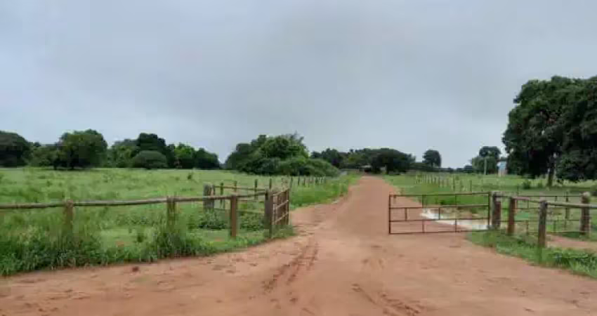 Fazenda com 580 alqueires de dupla aptidão em jussara-go