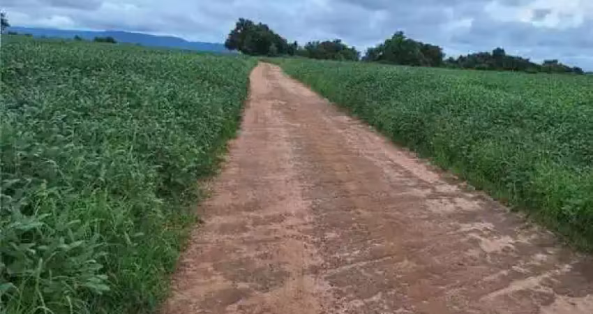 Fazenda com 150 alqueires para agricultura em brejinho de nazaré-to