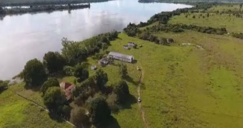 Fazenda com 205 alqueires dupla aptidão no municípío de bernardo sayão - to