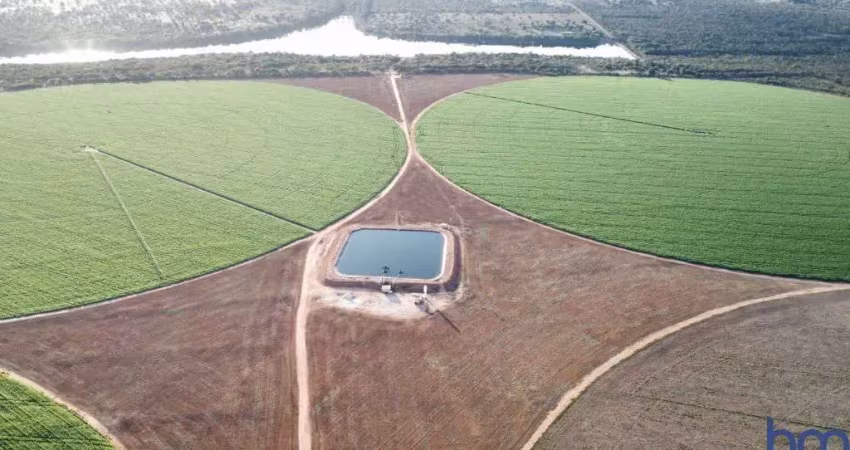 Fazenda com 200 alqueires para agricultura de precisão irrigada em paracatu-mg