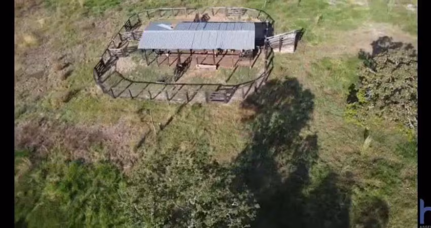 Fazenda de dupla aptidão com 203 alqueires em aparecida do rio negro-to