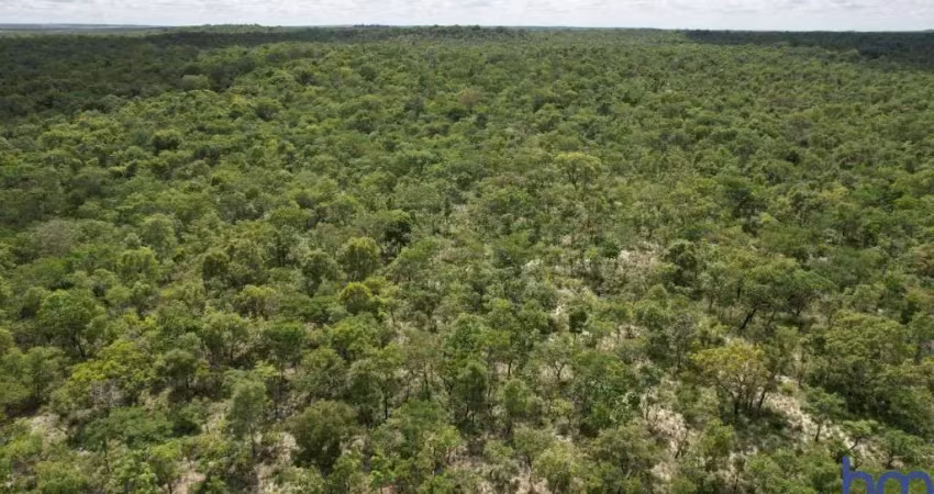 Fazenda bruta de dupla aptidão com 7.850 alqueires em corrente-pi