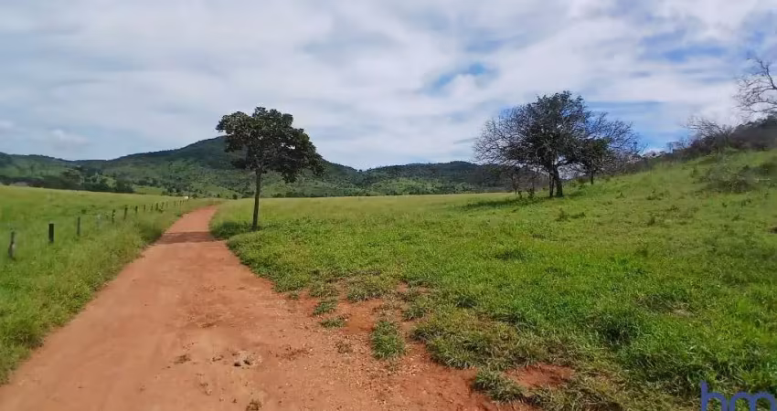 Fazenda com 153 alqueires para pecuária em trombas-go