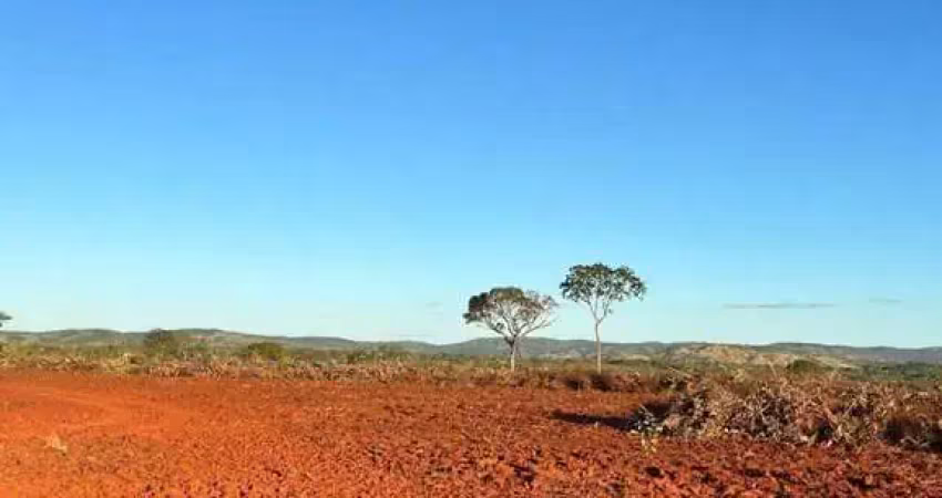 Fazenda com 170 alqueires bruta de dupla aptidão em são valério da natividade-to