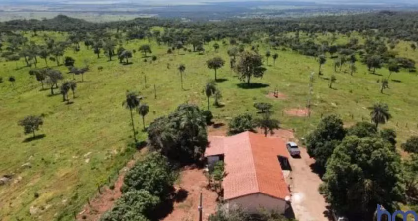 Fazenda para pecuária com 170 alqueires em nova roma-go