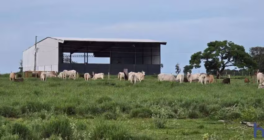 Fazenda com 500 alqueires de dupla aptidão em são miguel do araguaia-go