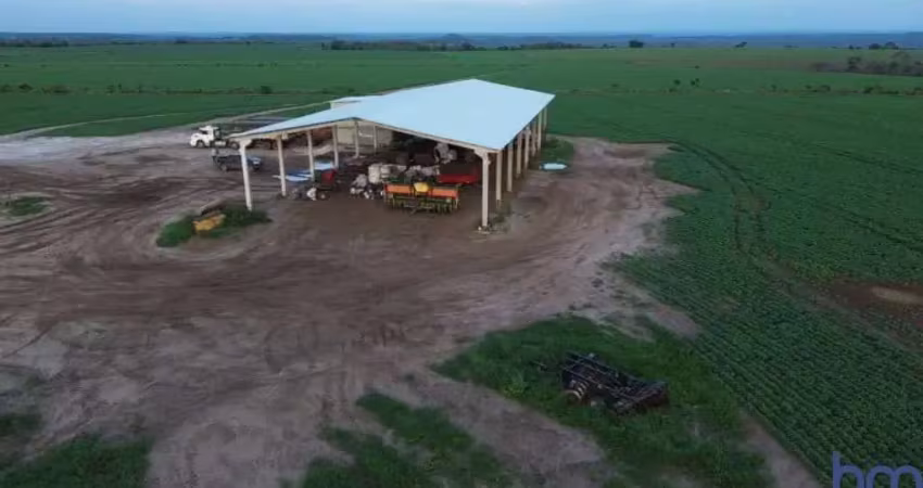Fazenda de dupla aptidão com 500 alqueires em parnarama-ma