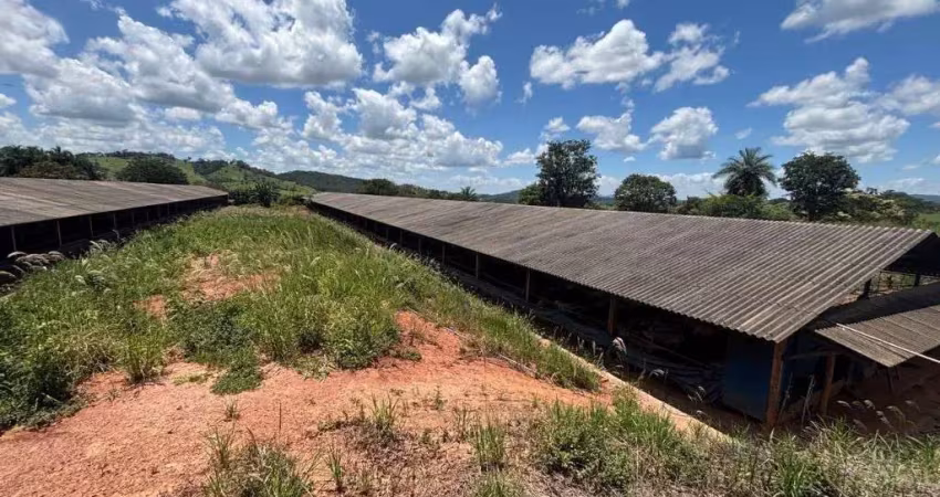 Fazenda com 20 alqueires com granja de suínos em araguari-mg