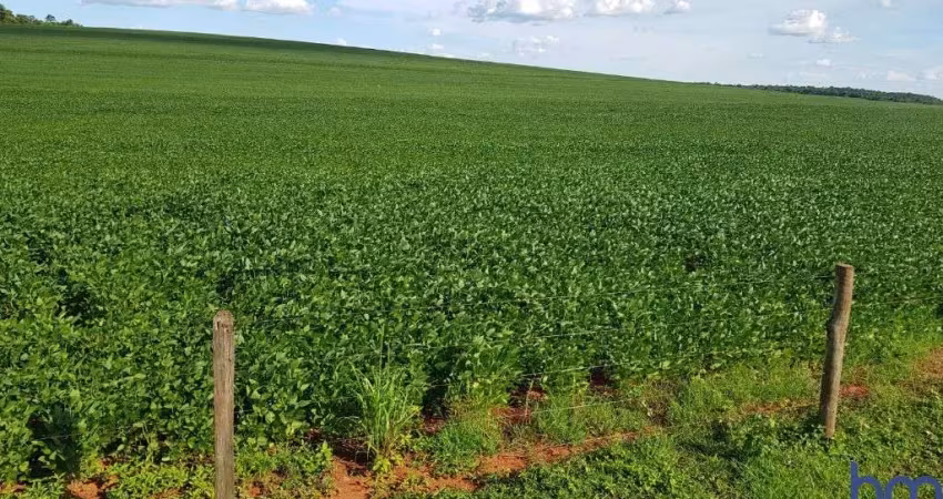 Fazenda com 330 alqueires paulistas de dupla aptidão em costa rica-ms