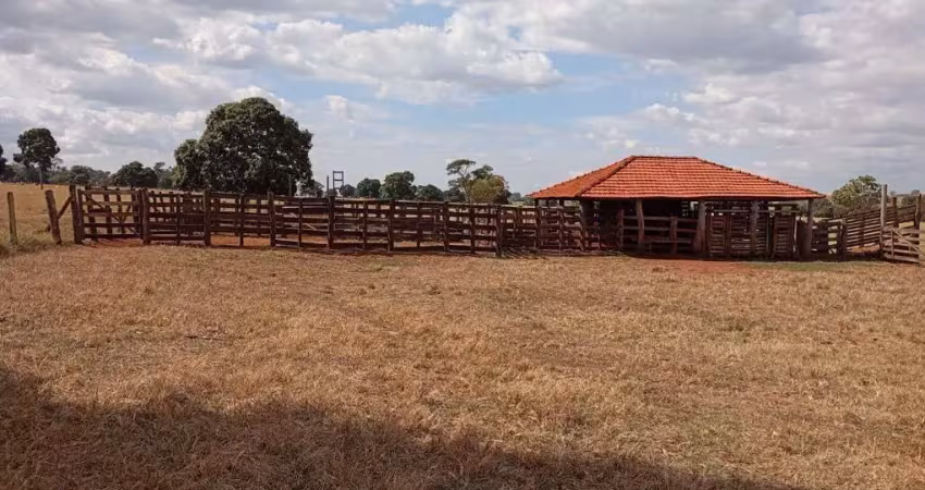 Fazenda com 28 alqueires de dupla aptidão em ituiutaba-mg