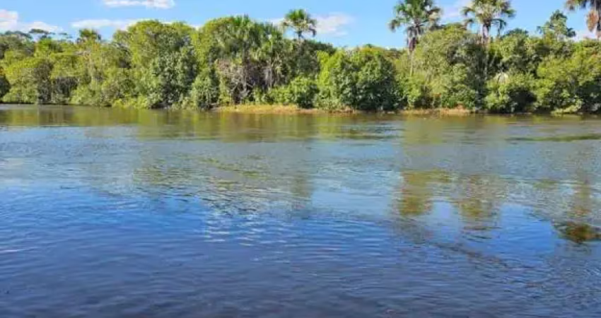 Fazenda com 130 alqueires de dupla aptidão em pindorama´to
