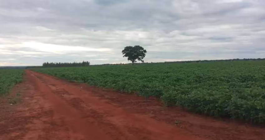 Fazenda de dupla aptidão com 153 alqueires em campina verde-mg