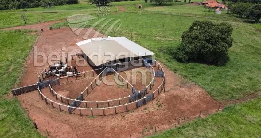Fazenda com 96 alqueires de dupla aptidão podendo plantar cana em ituiutaba-mg