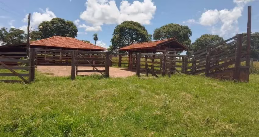 Fazenda com 15 alqueires de dupla aptidão com soja arrendada em gurinhatã-mg