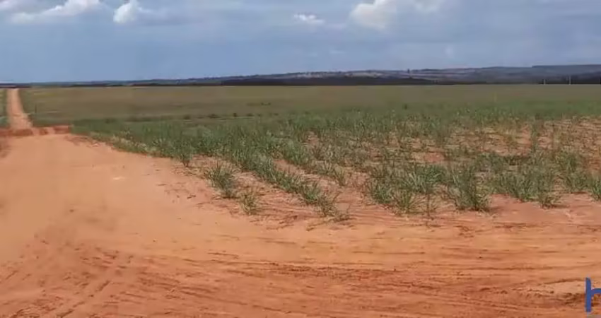 Fazenda com 38 alqueires com cana arrendada em campo florido-mg