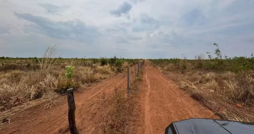 Fazenda bruta de dupla aptidão com 2.800 alqueires em ponte alta do tocantins-to