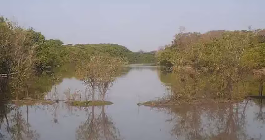 Fazenda de dupla aptidão com 130 alqueires em jussara-go