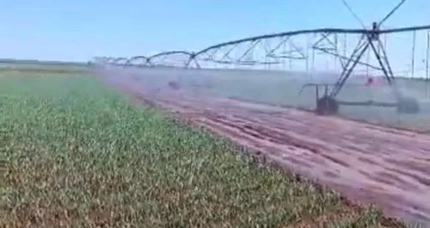 Fazenda com 310 alqueires com agricultura irrigada em luziânia-go
