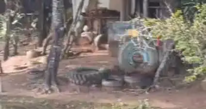 Fazenda para agricultura com 38 alqueires ao lado de campo alegre de goiás-go