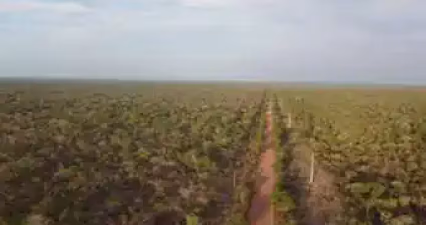 Fazenda bruta com 810 alqueires de dupla aptidão em urbano santos-ma