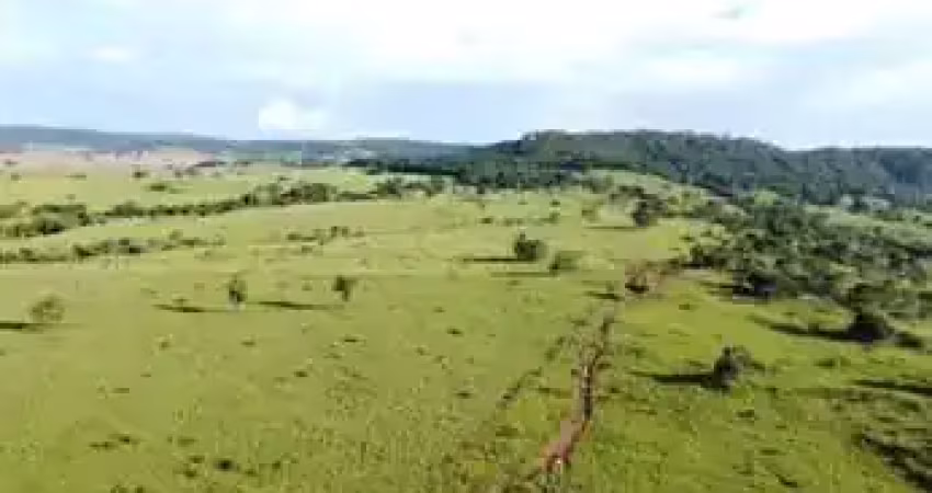Fazenda de dupla aptidão com 120 alqueires em buriti alegre-go