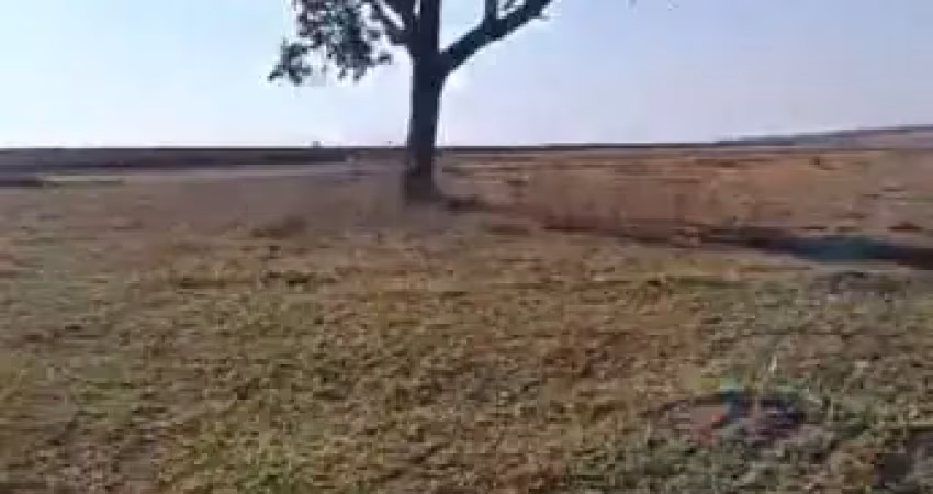 Fazenda à venda na Estrada Vicinal Municipal de Prata, Km 28, Zona Rural, Prata