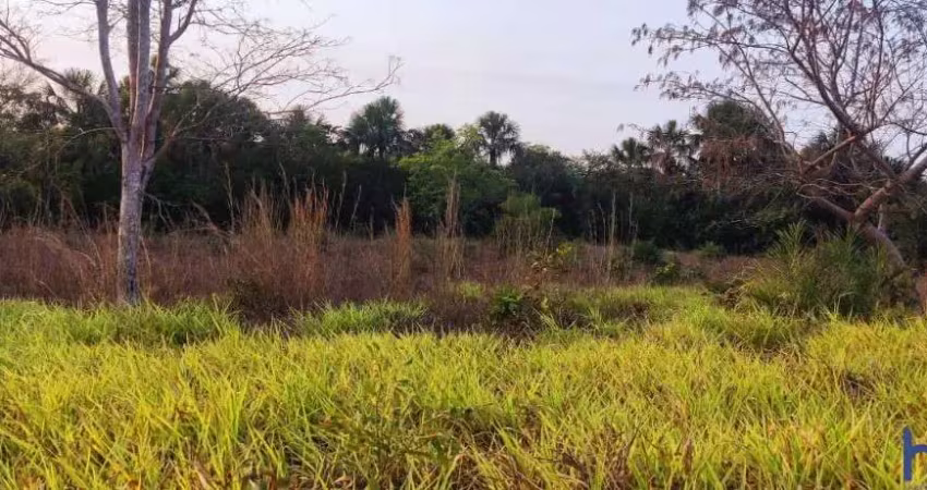 Fazenda de dupla aptidão com 122 alqueires no vale do araguaia em pium-to