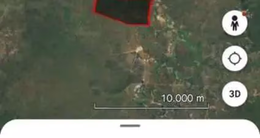 Fazenda bruta com 5.000 hectares dupla aptidão em elizeu martins-pi