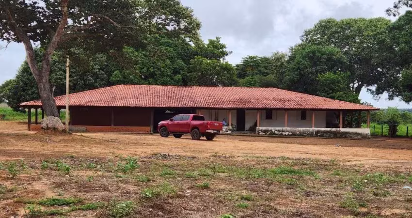 Fazenda com 466 alqueires de dupla aptidão em lagoa do tocantins-to