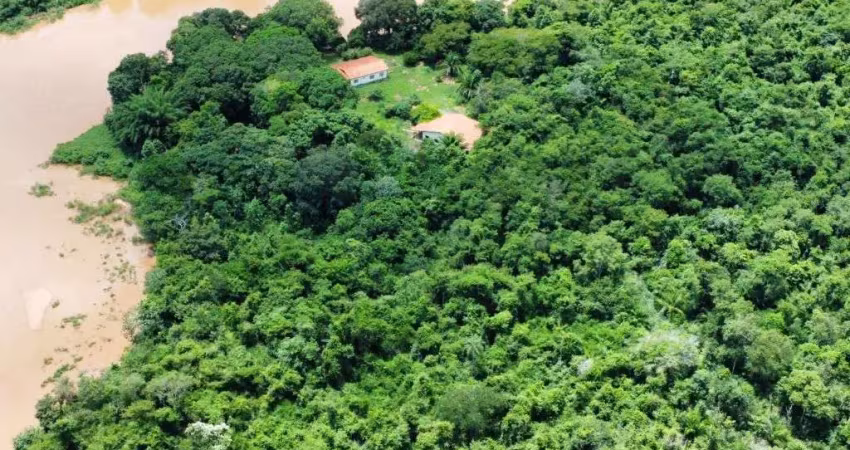 Grande fazenda de pecuária com 64.000 hectares em mimoso-mt
