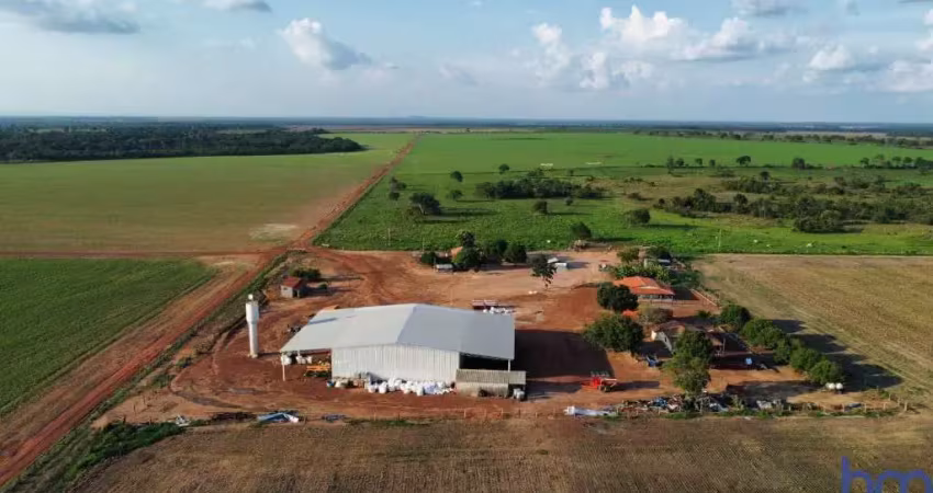 Fazenda com 500 alqueires dupla aptidão margem rio tocantins em peixe-to