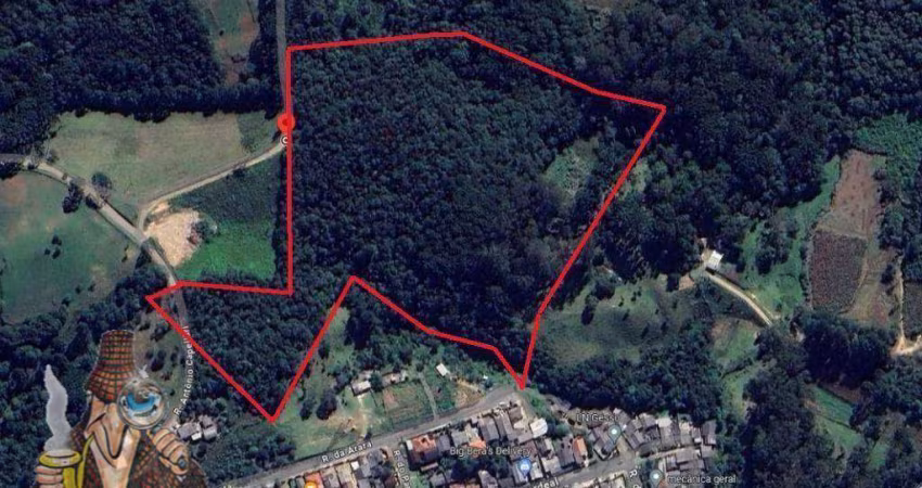 Área à venda, 36164 m² por R$ 500.000,00 - Arruda - Colombo/PR
