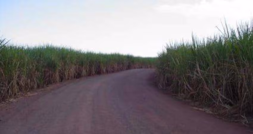Fazenda à venda em Mandaguaçu, Centro, com 1 quarto, com 98.06 alqueires
