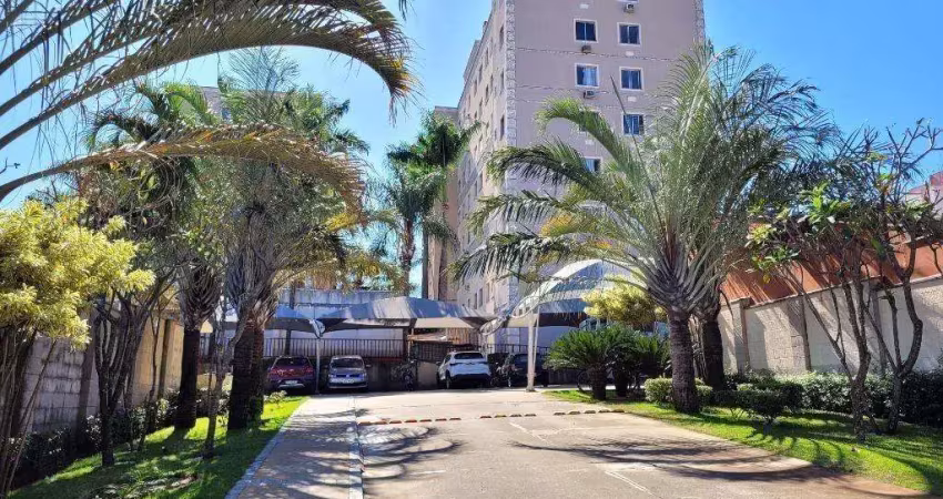Apartamento para alugar em maringá, parque residencial cidade nova, com 2 quartos, com 46 m²
