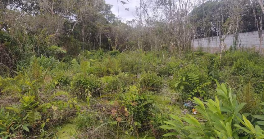 Terreno para Venda em Itanhaém, Luizamar Mirim