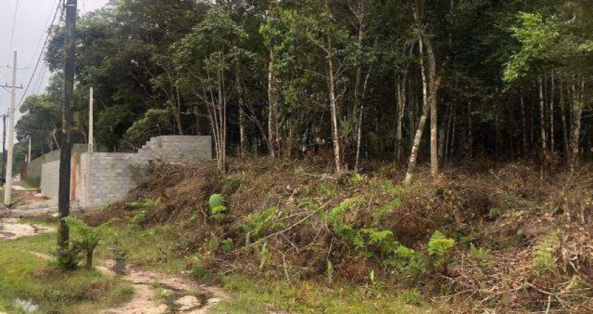 Terreno para Venda em Itanhaém, São Fernando