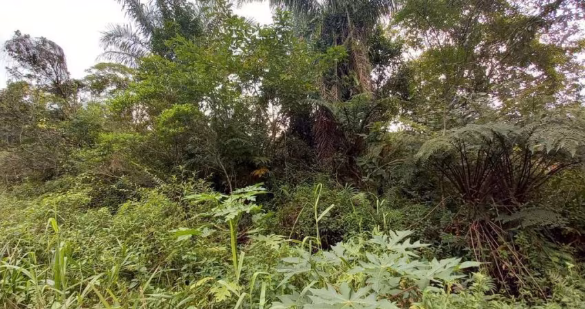 Terreno para Venda em Peruíbe, São Francisco