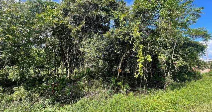 Terreno à venda no Palmeiras II, Itanhaém 