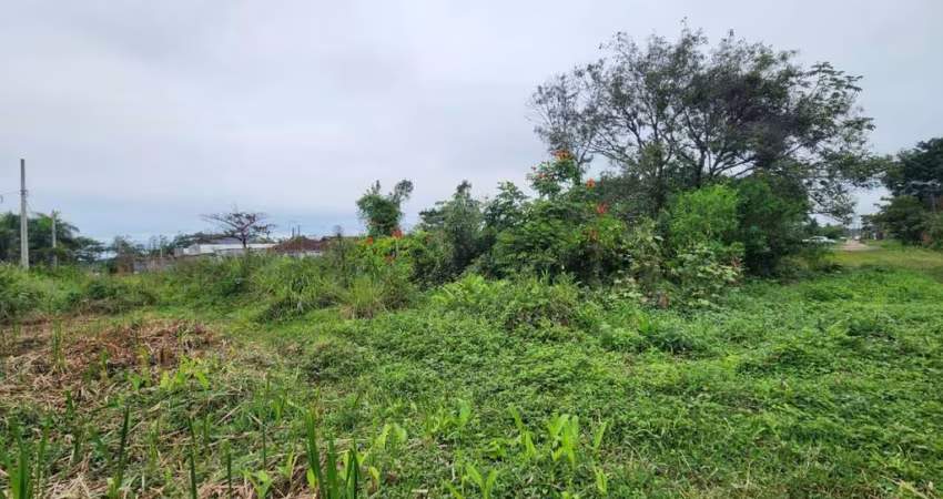 Terreno para Venda em Itanhaém, Luizamar Mirim