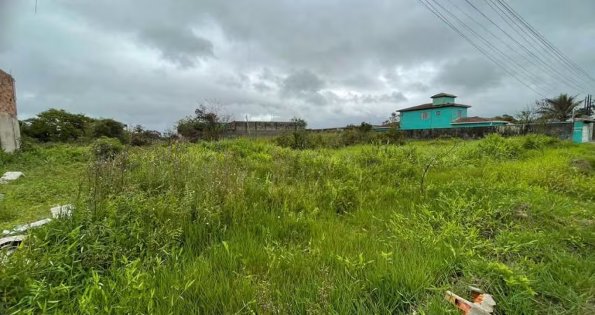 Terreno para Venda em Itanhaém, Chácaras Cibratel
