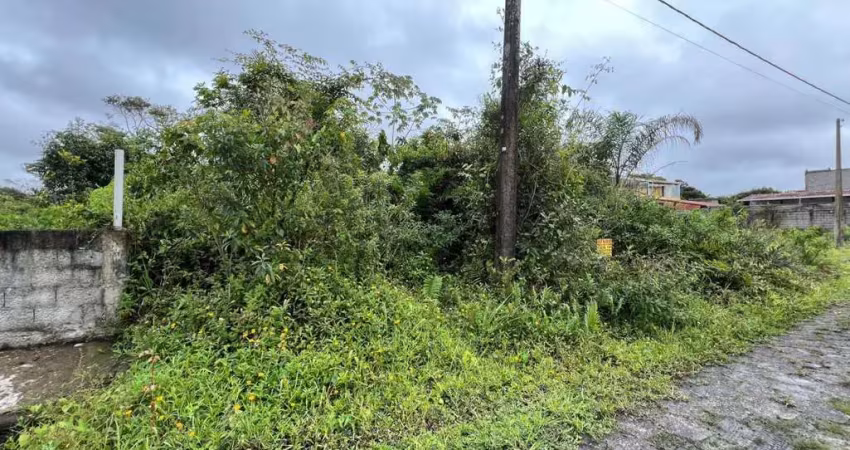 Terreno à venda no Palmeiras II, Itanhaém 