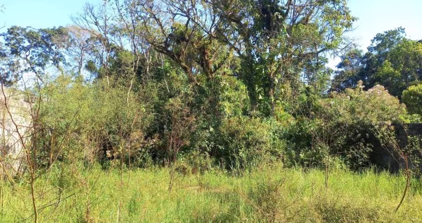 Terreno para Venda em Itanhaém, Jardim Fenix